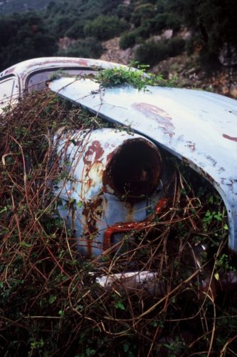 Το μουσούδι ενός Opel Rekord του '52, station wagon, που έγινε φυτώριο κάπου έξω από το Σούλι.