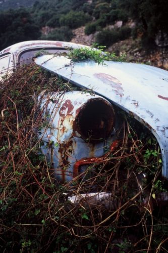  Το μουσούδι ενός Opel Rekord του '52, station wagon, που έγινε φυτώριο κάπου έξω από το Σούλι.